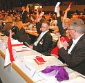 Abstimmung; Foto: Elke Brosow