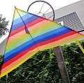 Regenbogen-Drachen; Foto: Axel Hildebrandt