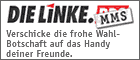 www.die-linke-mms.de